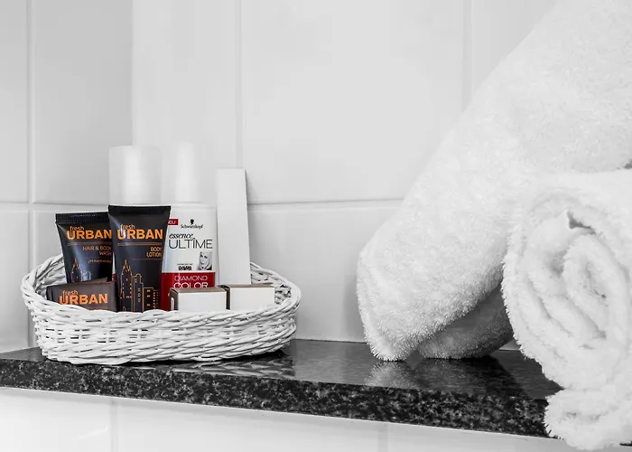 Comfort Frankfurt Station Hotel 3*