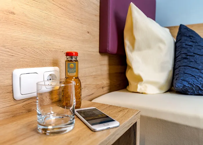 Comfort Frankfurt Station 3*